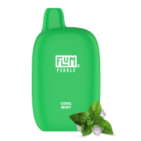   Flum Pebble (6000) - Cool Mint