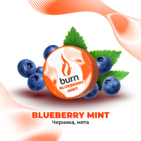 Burn Blueberry Mint -      25 