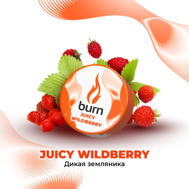 Burn Juicy Wildberry -   25 