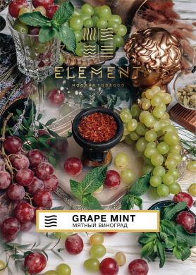 Element  Grape Mint 25 